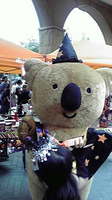 2009110113530000.jpg